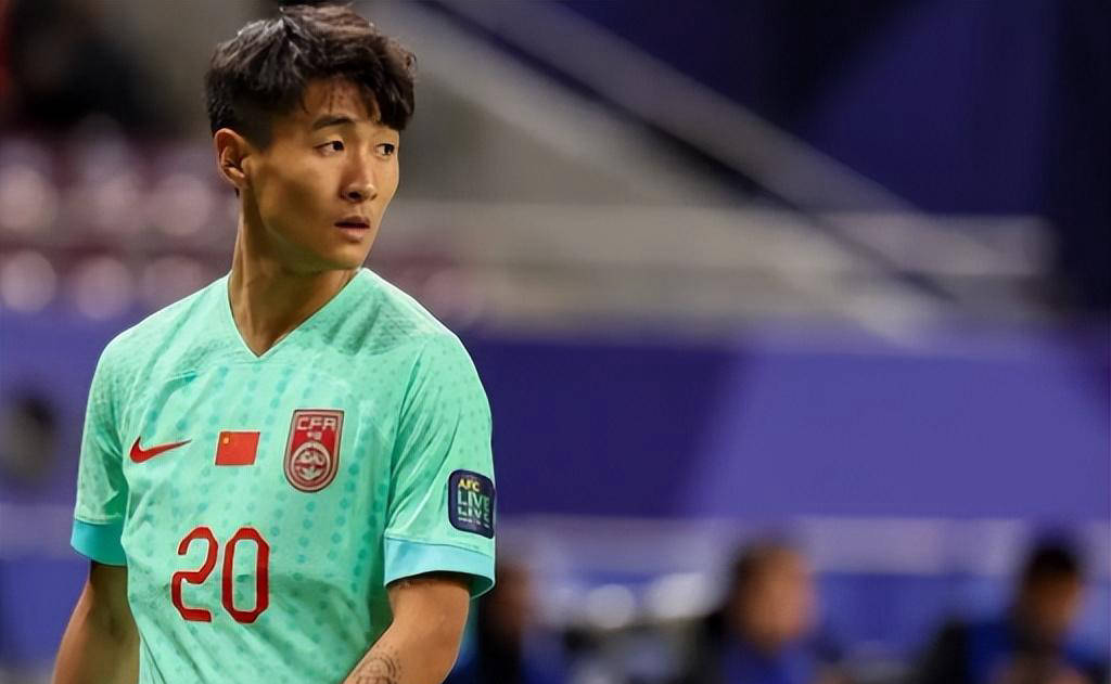 们的认可, 工作, 王楚职业生